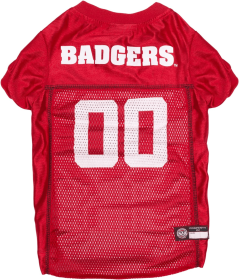 Wisconsin Pet Jersey (size: LG)