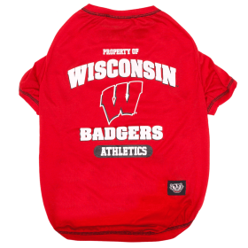 Wisconsin Tee Shirt (size: SM)
