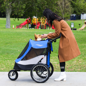 Trailblazer Pet Jogger (Color: Atlas)