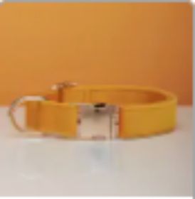 dog Harnesses and dog leash set; Pet Traction Rope Vest Pet Chest Strap Small and Medium Dog Strap Reflective Dog Walking Rope Wholesale (Option: Yellow-XS)