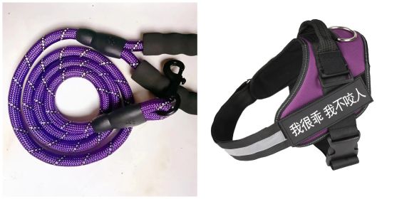 Dog Car Seat Cover for Small and Medium Dogs with Mesh Window (Option: Purple-XS)
