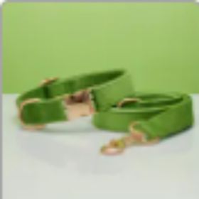 dog Harnesses and dog leash set; Pet Traction Rope Vest Pet Chest Strap Small and Medium Dog Strap Reflective Dog Walking Rope Wholesale (Option: Green set-XS)